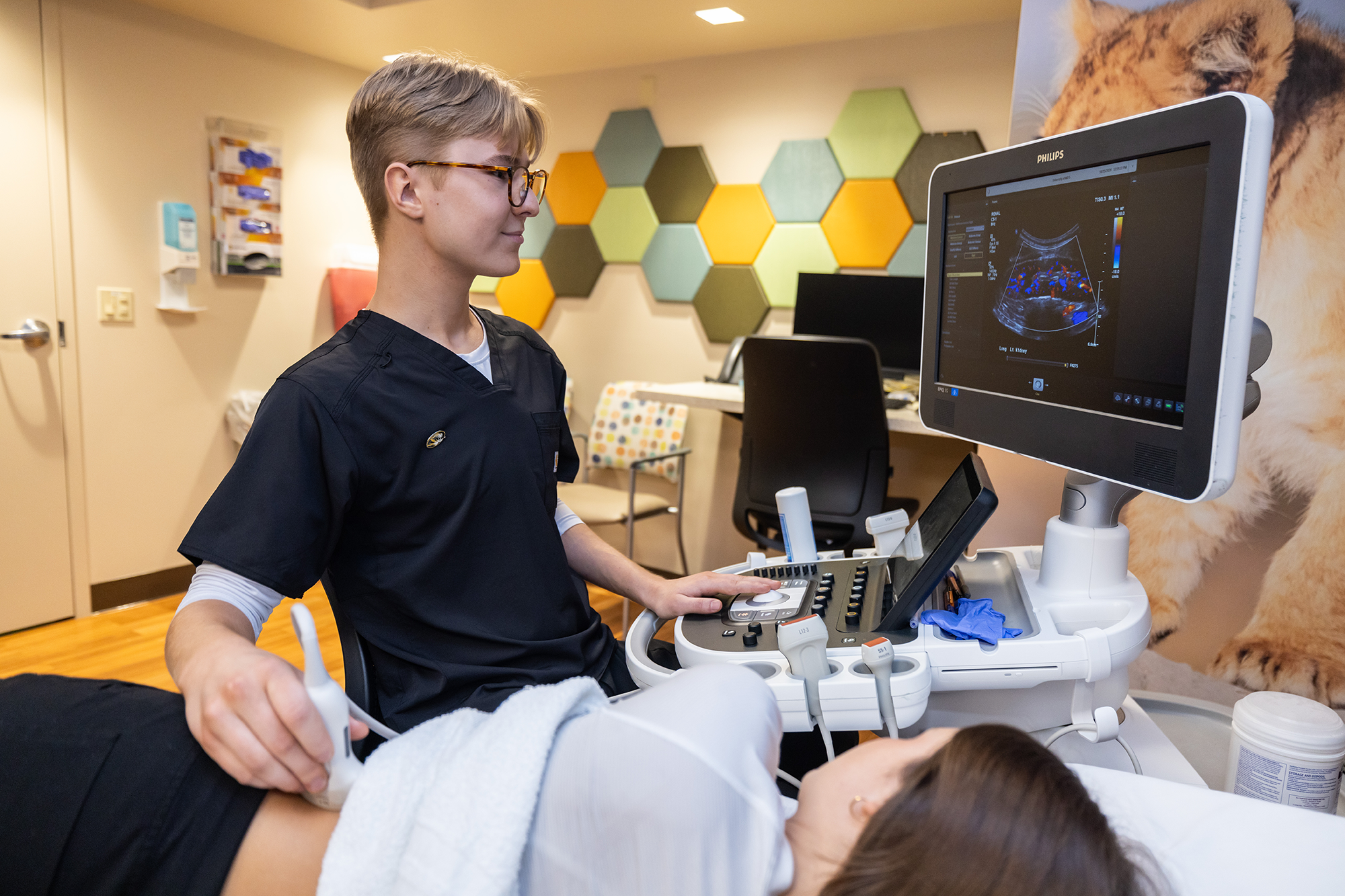 Ultrasound work at Mizzou.